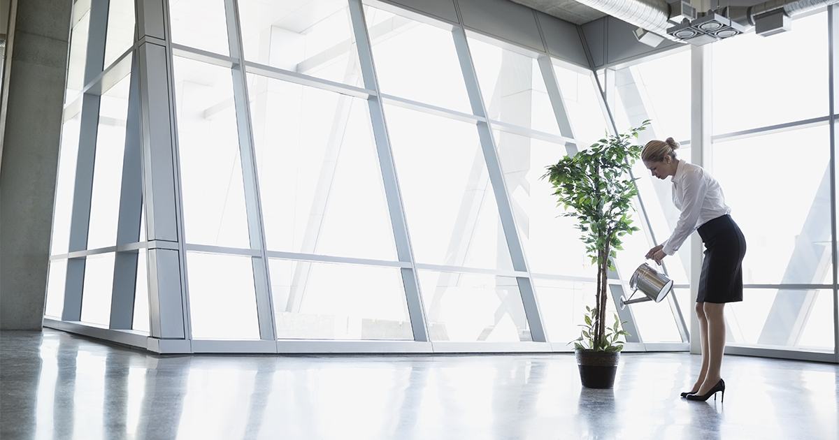 Businesswoman Watering Potted Tree In Modern Office